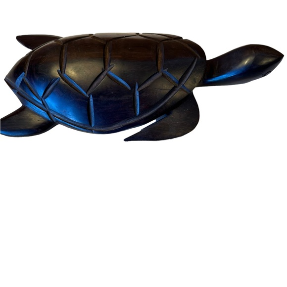 Ironwood Turtle. - Picture 8 of 10